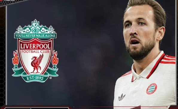 希勒盛赞凯恩，可成为利物浦锋线救星，堪称纪录追逐者